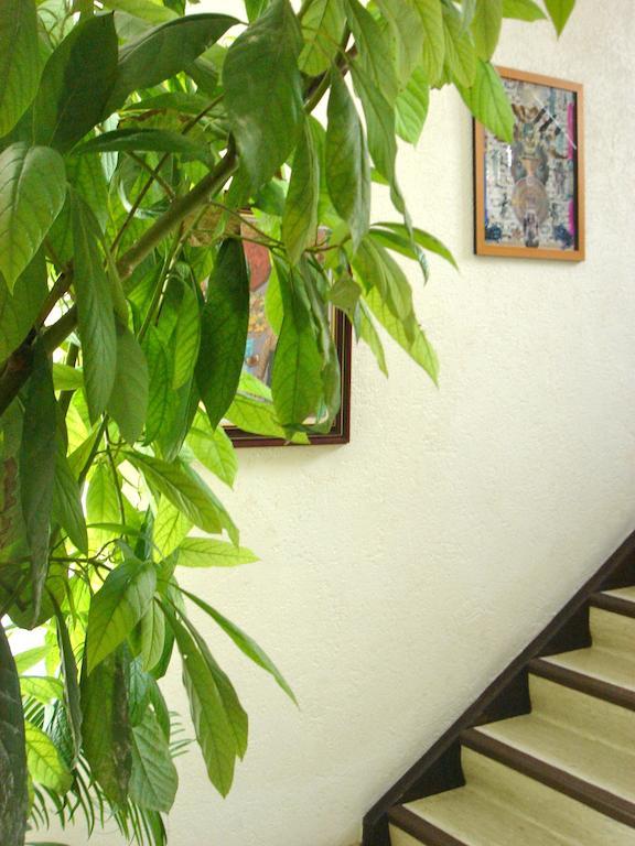 Dakini'S Bed & Breakfast Zurich Exterior photo